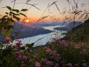 The Mountain Nest Talloires